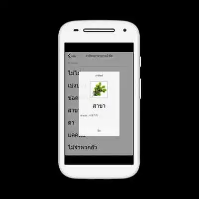 Play Korean plant vocabulary