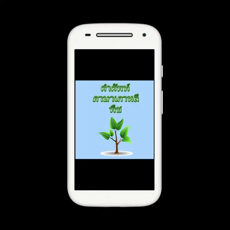 Play Korean plant vocabulary