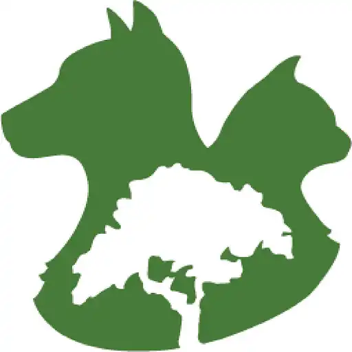 Play KORNA Pet APK Play KORNA Pet APK