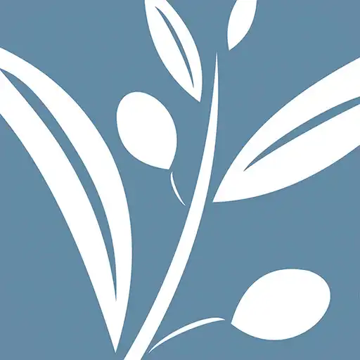Play Kotinos APK Play Kotinos APK