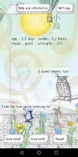 Play Kotori your flying friend  and enjoy Kotori your flying friend with UptoPlay