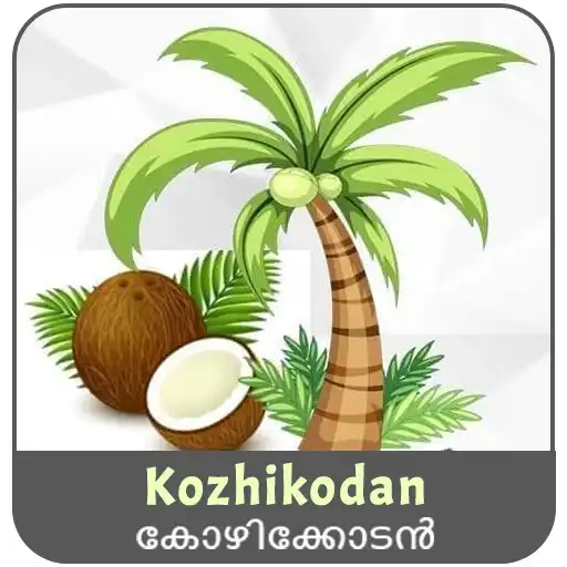 Play Kozhikodan VPN APK