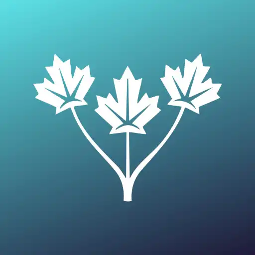 Play KP Studio Services APK