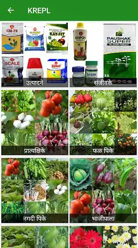 Play KREPL (Marathi) and enjoy KREPL (Marathi) with UptoPlay Play KREPL (Marathi) and enjoy KREPL (Marathi) with UptoPlay