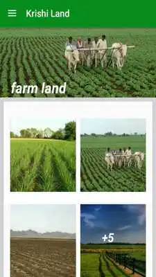 Play Krishi Land