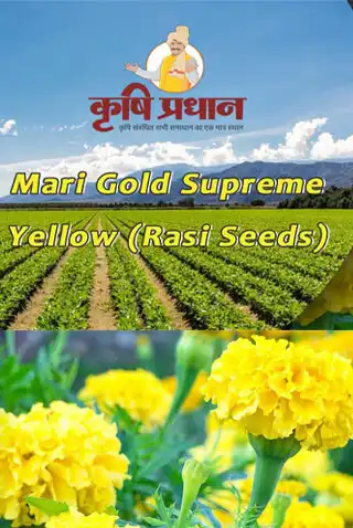 Play Krishi Pradhan India as an online game Krishi Pradhan India with UptoPlay