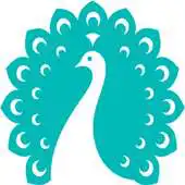 Free play online Krishna Foundation APK