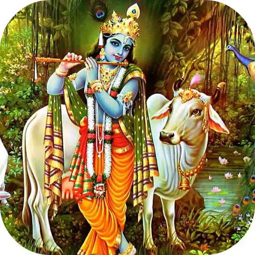 Play Krishna Gayatri Mantra APK