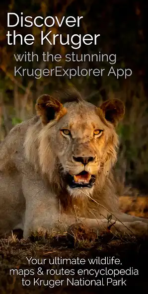 Play KrugerExplorer as an online game KrugerExplorer with UptoPlay