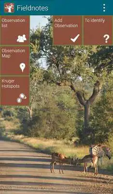 Play Kruger Park Fieldnotes Lite