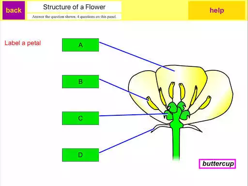Play KS3 Science Review  and enjoy KS3 Science Review with UptoPlay