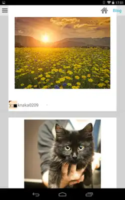 Play kuc.Board for tumblr