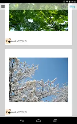 Play kuc.Board for tumblr