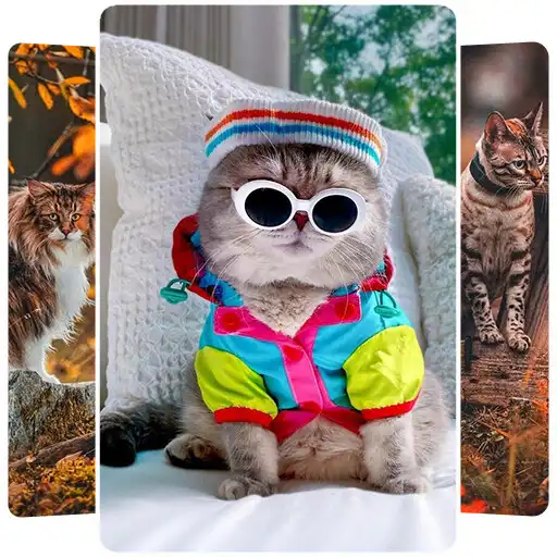 Play kucing wallpaper kucing APK