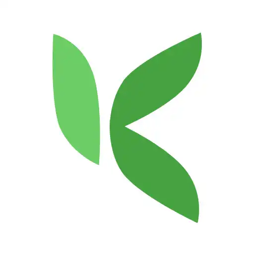 Play Kulkas Express APK