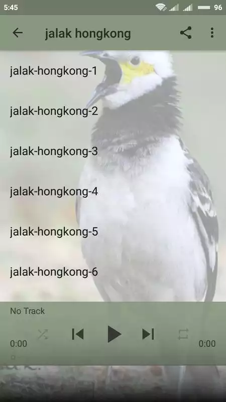 Play Kumpulan Kicau Burung Jalak Lengkap