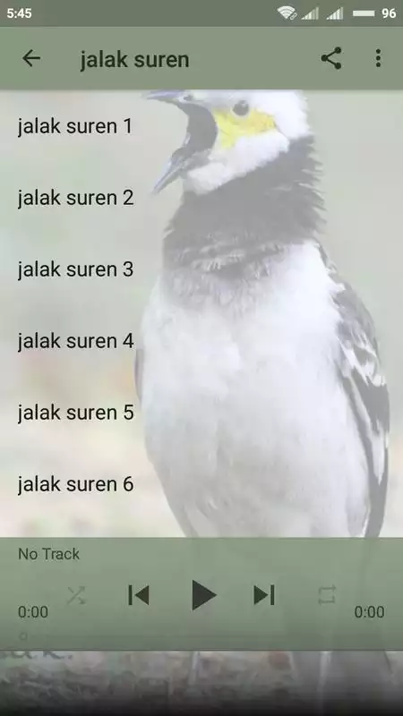Play Kumpulan Kicau Burung Jalak Lengkap