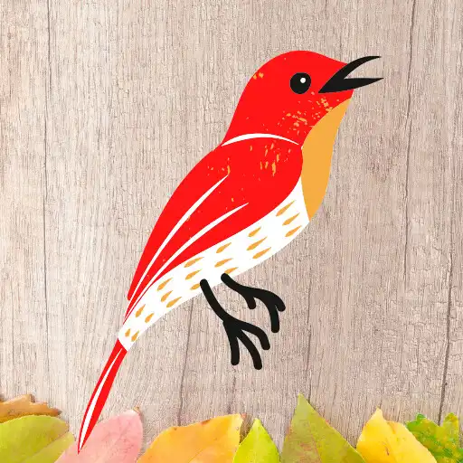 Play Kumpulan Kicau Burung Offline APK