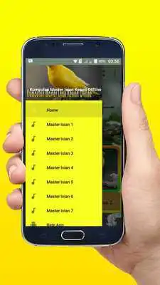 Play Kumpulan Master Isian Kenari