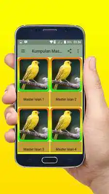 Play Kumpulan Master Isian Kenari