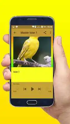 Play Kumpulan Master Isian Kenari