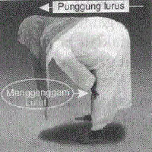 Run free android online kumpulan solat sunnah APK Run free android online kumpulan solat sunnah APK