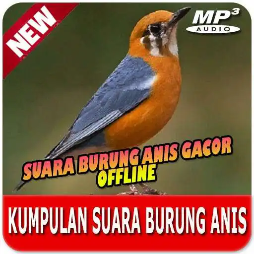 Play Kumpulan Suara Burung Anis Offline APK Play Kumpulan Suara Burung Anis Offline APK