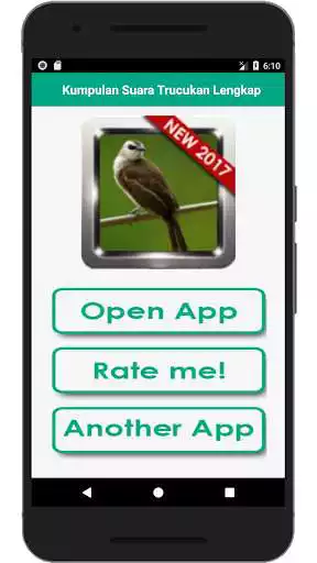 Play Kumpulan Suara Burung Trucukan