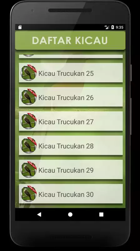 Play Kumpulan Suara Burung Trucukan