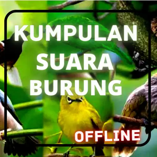 Play Kumpulan suara kicau burung APK