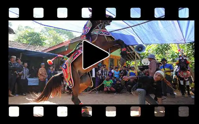 Play kumpulan video atraksi kuda renggong pilihan