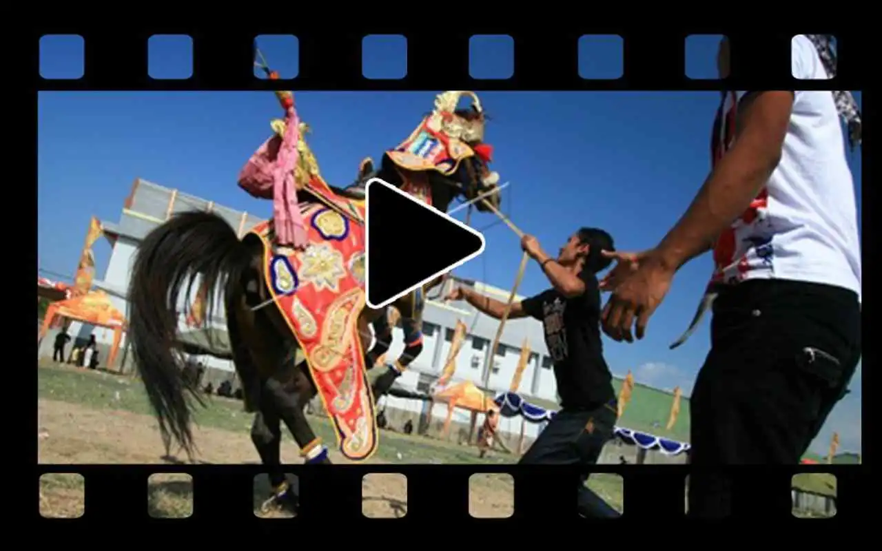 Play kumpulan video atraksi kuda renggong pilihan