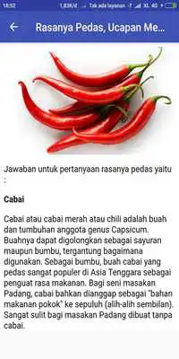 Play Kunci Jawaban TTS