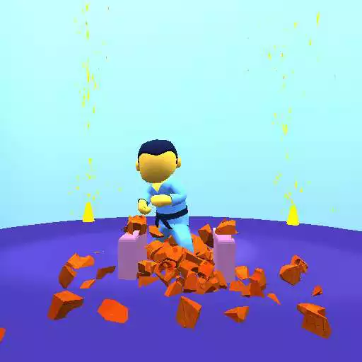 Play Kungfu Bricks APK