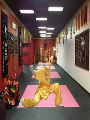 Play Kung Fu Master Photo Editor