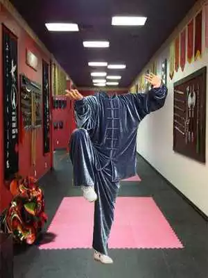 Play Kung Fu Master Photo Editor
