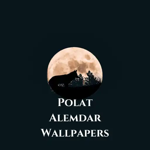 Play Kurtlar Vadisi Chaos Wallpaper APK Play Kurtlar Vadisi Chaos Wallpaper APK