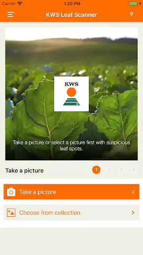 Play KWS Leaf Scanner  and enjoy KWS Leaf Scanner with UptoPlay