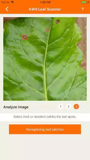 Play KWS Leaf Scanner as an online game KWS Leaf Scanner with UptoPlay