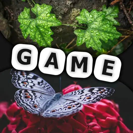 Play KZ Logic - Turn on your logic APK Play KZ Logic - Turn on your logic APK