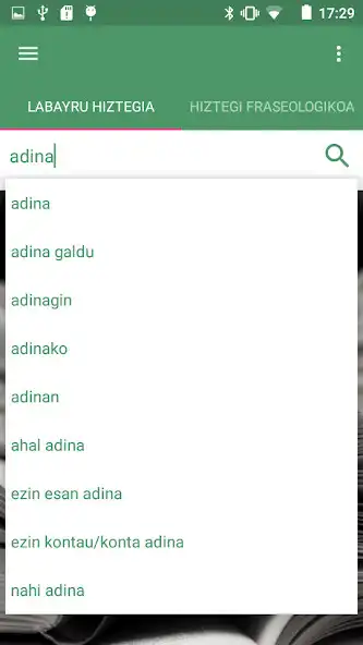 Play Labayru hiztegiak offline as an online game Labayru hiztegiak offline with UptoPlay