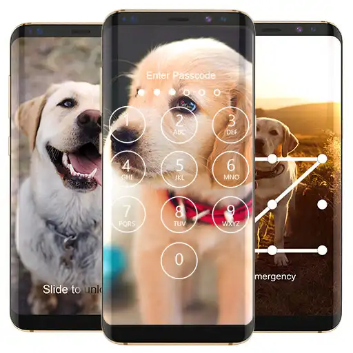 Play Labrador Lock Screen APK