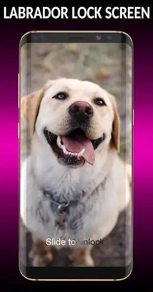 Play Labrador Lock Screen  and enjoy Labrador Lock Screen with UptoPlay
