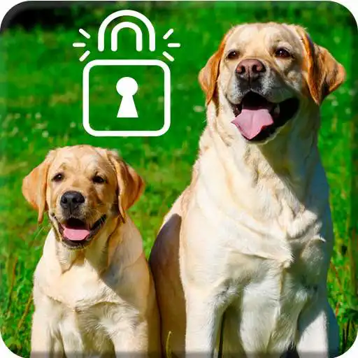 Play Labrador Puppy Cute Dog Retriever Theme Screen APK Play Labrador Puppy Cute Dog Retriever Theme Screen APK