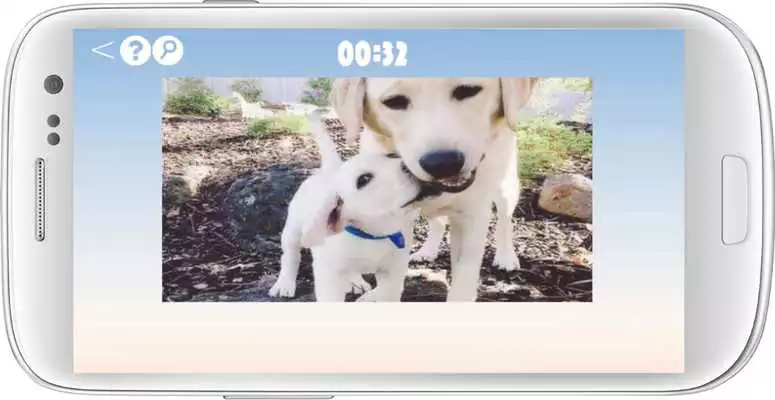 Play Labrador Retriever Dog Puzzle