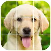 Free play online Labrador Tile Puzzle APK Free play online Labrador Tile Puzzle APK