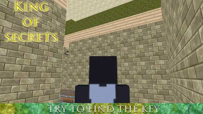 Play Labyrinth: King of Secrets 3D