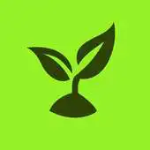 Free play online La Despensa Bio APK