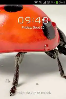 Play Ladybug 3D Live Wallpaper
