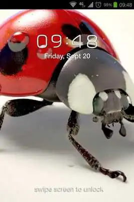 Play Ladybug 3D Live Wallpaper